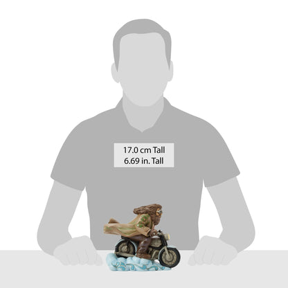Hagrid on Bike