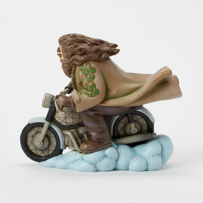 Hagrid on Bike