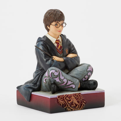 Harry Potter with Wand