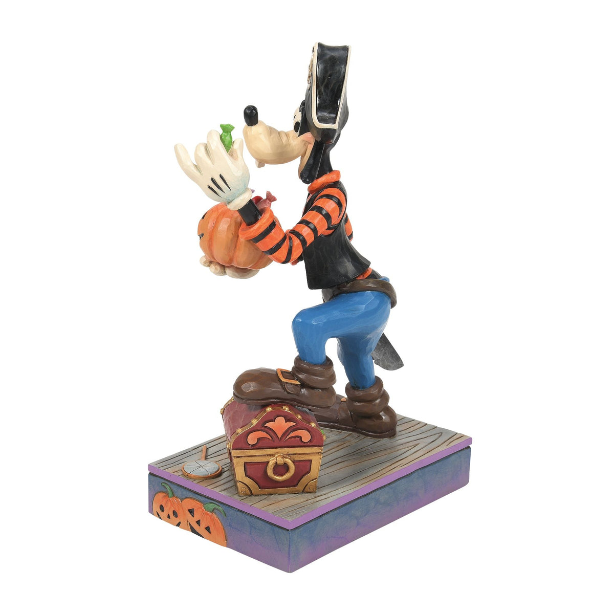 Goofy Pirate Costume