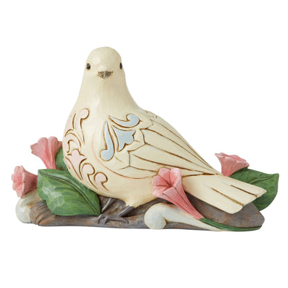 White Dove
