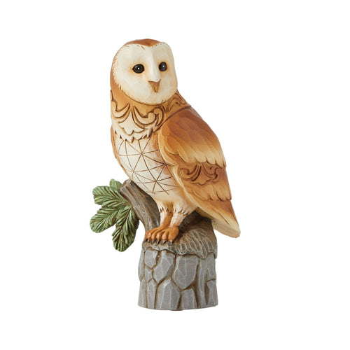 Barn Owl